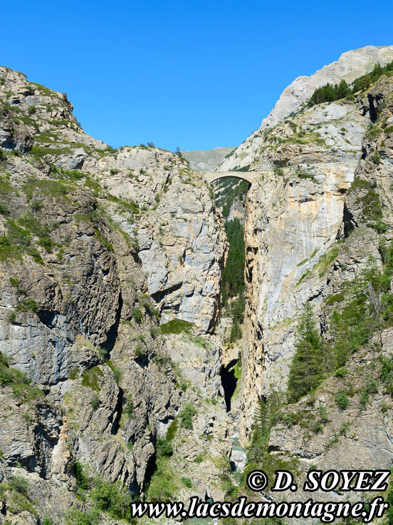 Photo n20090709
Lac des Neufs couleurs du Chambeyron (2841m) (Chambeyron,  Alpes de Haute Provence)
Clich Dominique SOYEZ
Copyright Reproduction interdite sans autorisation