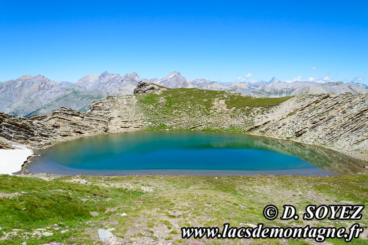 Photo n201307014
Lac Froid (2675m) (Alpes de Haute Provence)
Clich Dominique SOYEZ
Copyright Reproduction interdite sans autorisation