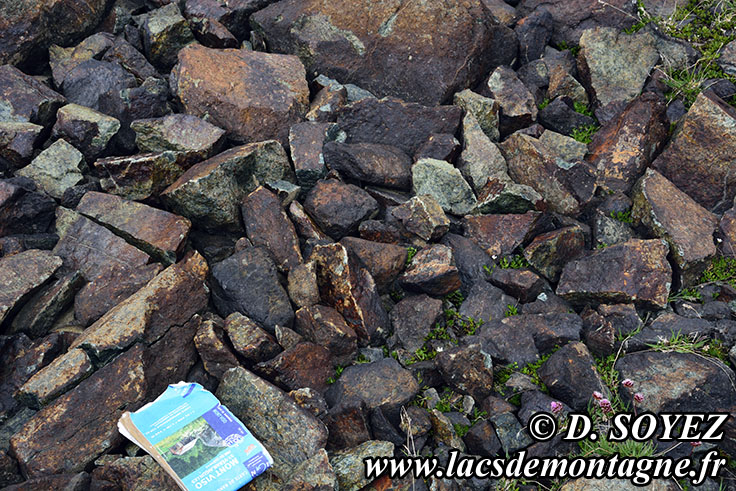 Photo n201607078
Le col Sud du Cristillan: le fond de l'ocan  3000m d'altitude!
Clich Dominique SOYEZ
Copyright Reproduction interdite sans autorisation