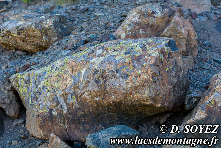 Photo n201607014
Pillow-lavas (Chenaillet, Brianonnais, Hautes-Alpes)
Clich Dominique SOYEZ
Copyright Reproduction interdite sans autorisation