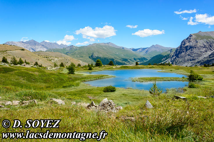 Photo n201607072
Lac des Sarailles (2236m) (Brianonnais, Hautes-Alpes)
Clich Dominique SOYEZ
Copyright Reproduction interdite sans autorisation
