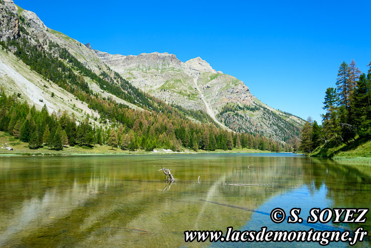 Photo n201607193
Lac de l'Orceyrette (1927m) (Brianonnais, Hautes-Alpes)
Clich Serge SOYEZ
Copyright Reproduction interdite sans autorisation