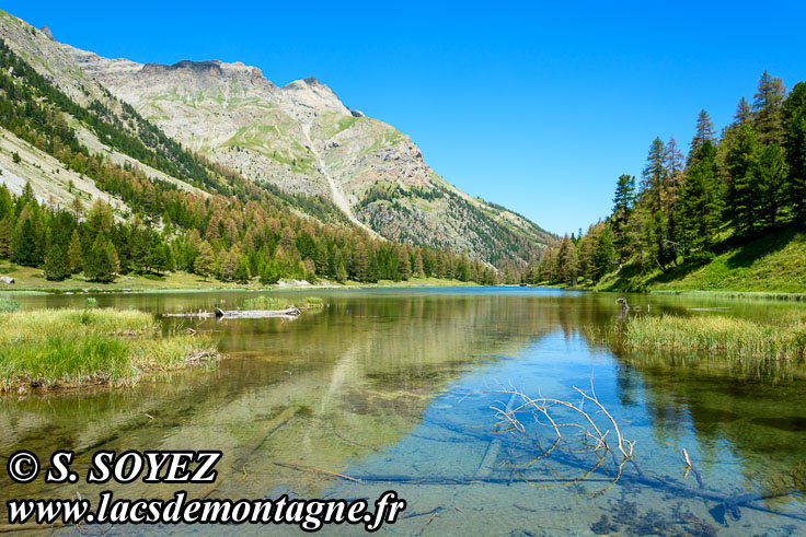 Photo n201607194
Lac de l'Orceyrette (1927m) (Brianonnais, Hautes-Alpes)
Clich Serge SOYEZ
Copyright Reproduction interdite sans autorisation
