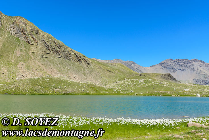 Photo n201907056
Lac Palluel (2472m) (crins, Hautes-Alpes)
Clich Dominique SOYEZ
Copyright Reproduction interdite sans autorisation