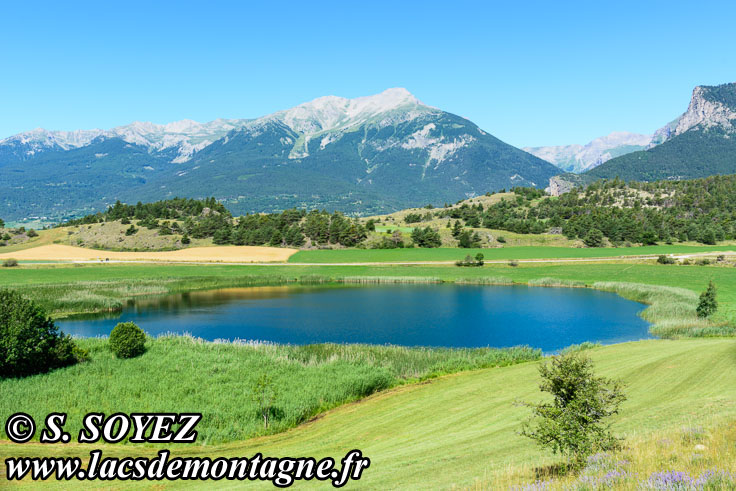 Photo n201907088
Lac de Siguret (1059m) (Embrunais, Hautes-Alpes)
Clich Serge SOYEZ
Copyright Reproduction interdite sans autorisation