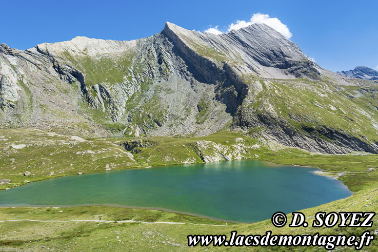 Photo n202207051
Lac gorgou (2394m) (Queyras, Hautes-Alpes)
Clich Dominique SOYEZ
Copyright Reproduction interdite sans autorisation