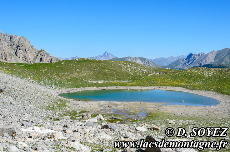 Photo n201307063
Lac des Rouites (2413m) (Queyras, Hautes-Alpes)
Clich Dominique SOYEZ
Copyright Reproduction interdite sans autorisation