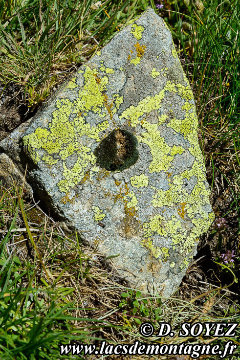 Photo n202007102
Lichens (Rhizocarpon geographicum ou Lecidea geographica) (Furfande, Queyras, Hautes-Alpes)
Clich Dominique SOYEZ
Copyright Reproduction interdite sans autorisation