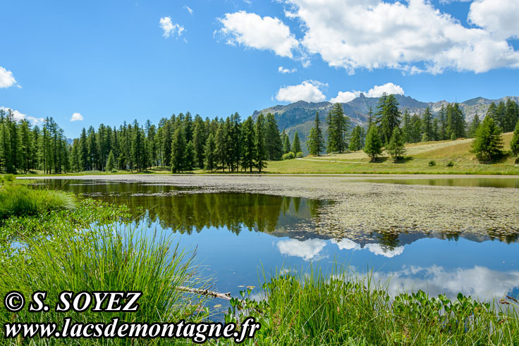 Photo n201607181
Lac de Roue (1847m) (Queyras, Hautes-Alpes)
Clich Serge SOYEZ
Copyright Reproduction interdite sans autorisation