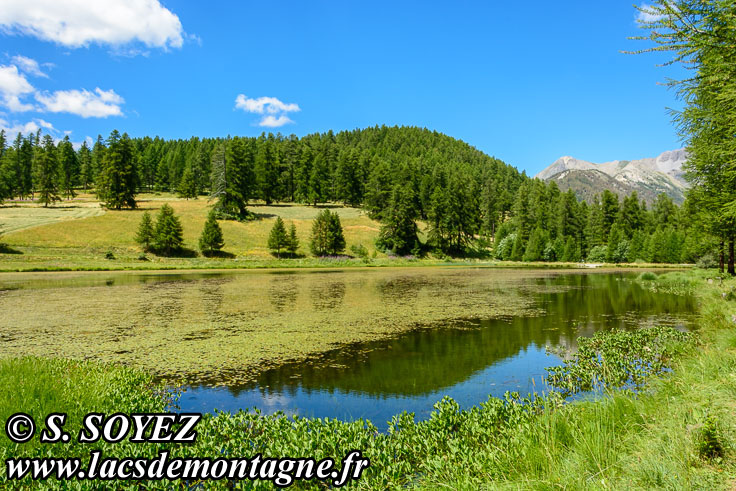 Photo n201607182
Lac de Roue (1847m) (Queyras, Hautes-Alpes)
Clich Serge SOYEZ
Copyright Reproduction interdite sans autorisation