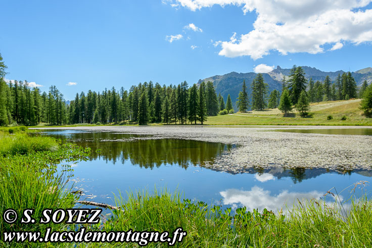 Photo n201607183
Lac de Roue (1847m) (Queyras, Hautes-Alpes)
Clich Serge SOYEZ
Copyright Reproduction interdite sans autorisation
