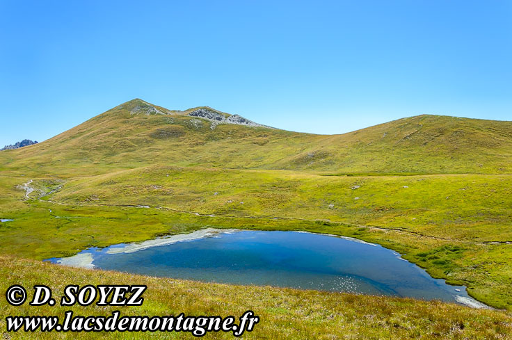 Photo n201507119
Lac du Cogour (2479m) (Queyras, Hautes-Alpes)
Clich Dominique SOYEZ
Copyright Reproduction interdite sans autorisation