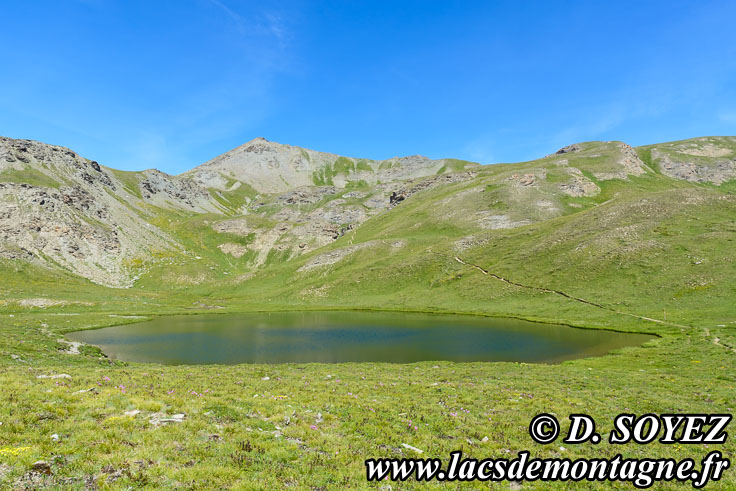 Photo n201907018
Lac Mzan (2675m) (Queyras, Hautes-Alpes)
Clich Dominique SOYEZ
Copyright Reproduction interdite sans autorisation