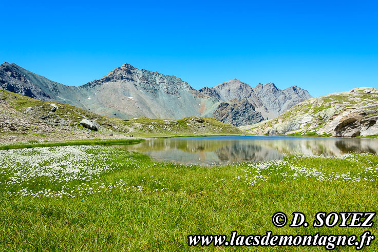 Photo n201607099
Lac Blanchet Infrieur (2746m): un lac au fond de l'ocan  3000m d'altitude! (Queyras, Hautes-Alpes)
Clich Dominique SOYEZ
Copyright Reproduction interdite sans autorisation