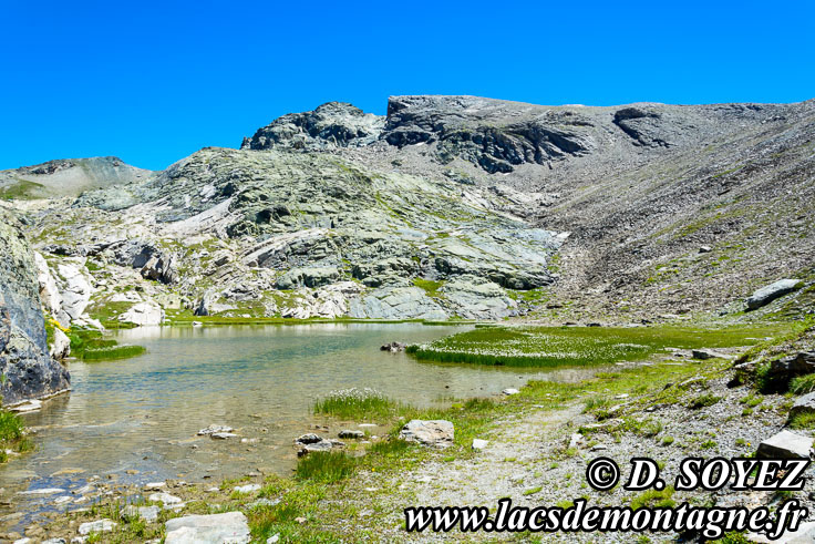 Photo n201607101
Lac Blanchet Infrieur (2746m): un lac au fond de l'ocan  3000m d'altitude! (Queyras, Hautes-Alpes)
Clich Dominique SOYEZ
Copyright Reproduction interdite sans autorisation