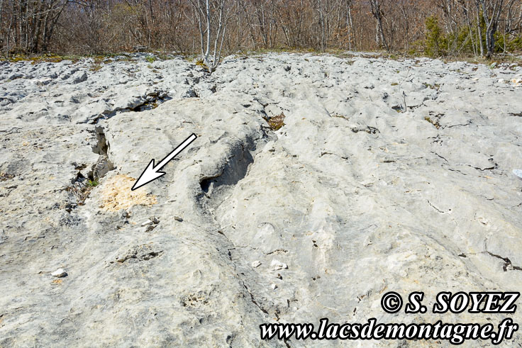 Photo n201704015
Valle fossile des Rimets (1070m) (Vercors, Isre)
Dgradations sur le site de la Valle fossile des Rimets
Clich Serge SOYEZ
Copyright Reproduction interdite sans autorisation