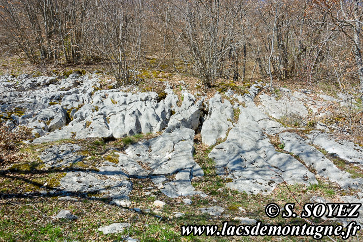 Photo n201704016
Valle fossile des Rimets (1070m) (Vercors, Isre)
Lapiaz de calcaire urgonien. 
Clich Serge SOYEZ
Copyright Reproduction interdite sans autorisation
