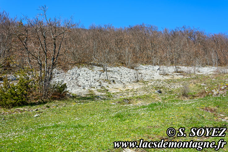 Photo n201704021
Valle fossile des Rimets (1070m) (Vercors, Isre)
Lapiaz de calcaire urgonien. 
Clich Serge SOYEZ
Copyright Reproduction interdite sans autorisation