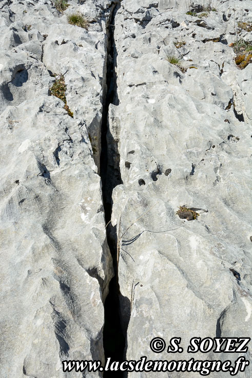 Photo n201704025
Valle fossile des Rimets (1070m) (Vercors, Isre)
Lapiaz de calcaire urgonien formant des rigoles. 
Clich Serge SOYEZ
Copyright Reproduction interdite sans autorisation
