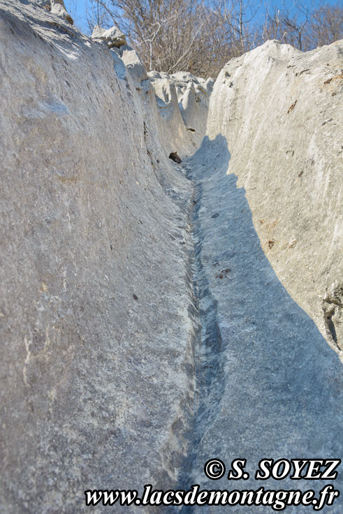 Photo n201704030
Valle fossile des Rimets (1070m) (Vercors, Isre)
Lapiaz de calcaire urgonien formant des rigoles. 
Clich Serge SOYEZ
Copyright Reproduction interdite sans autorisation