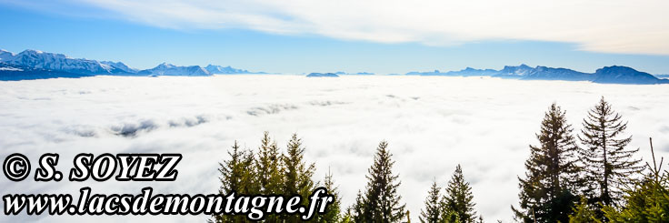 Photo n201812004
Mer de nuages sur les valles du Grsivaudan et du Drac
Clich Serge SOYEZ
Copyright Reproduction interdite sans autorisation
