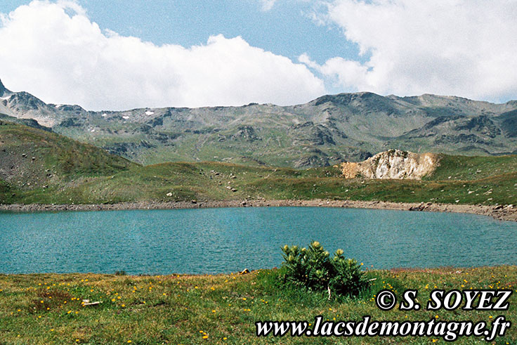 Photo n19890706ter
Lac Sainte Marguerite (Rond) (2508m) (Mont Thabor, Savoie)
Clich Serge SOYEZ
Copyright Reproduction interdite sans autorisation