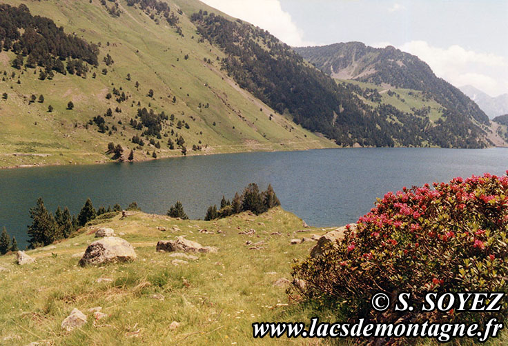 Photo n19910702
Lac de l'Oule (1810m) (Nouvielle, Hautes-Pyrnes)
Clich Serge SOYEZ
Copyright Reproduction interdite sans autorisation
