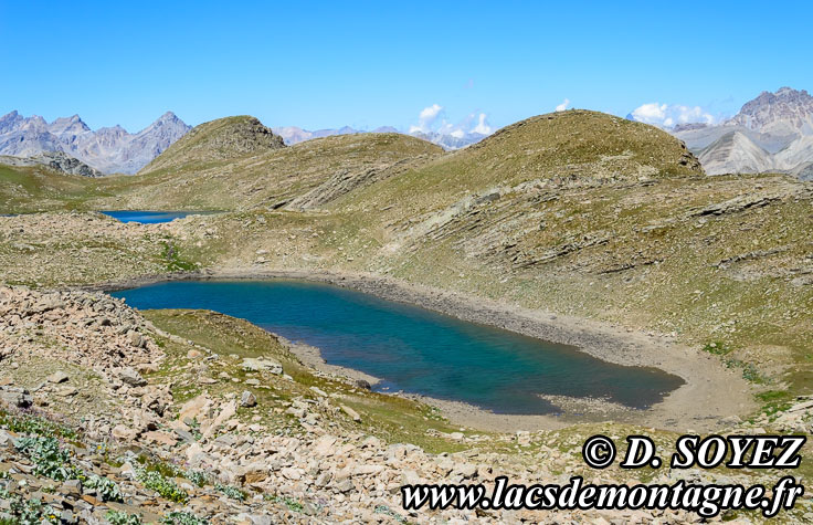 Photo n201207110
Lac des Hommes (sud) (2621m) (Alpes de Haute Provence)
Clich Dominique SOYEZ
Copyright Reproduction interdite sans autorisation