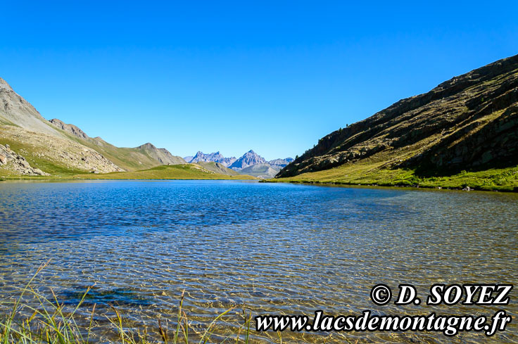 Photo n201207051
Lac du Lauzanier (2284m) (Alpes de Haute Provence)
Clich Dominique SOYEZ
Copyright Reproduction interdite sans autorisation