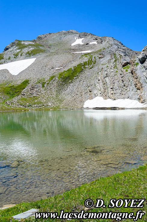 Photo n201307009
Lac Froid (2675m) (Alpes de Haute Provence)
Clich Dominique SOYEZ
Copyright Reproduction interdite sans autorisation