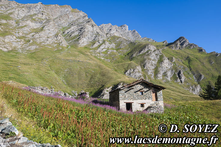 Photo n�202607013
Lago Nero (2591m), ITALIE (fronti�re ITALIE - Alpes-de-Haute-Provence - Queyras)
Clich� Dominique SOYEZ
Copyright Reproduction interdite sans autorisation