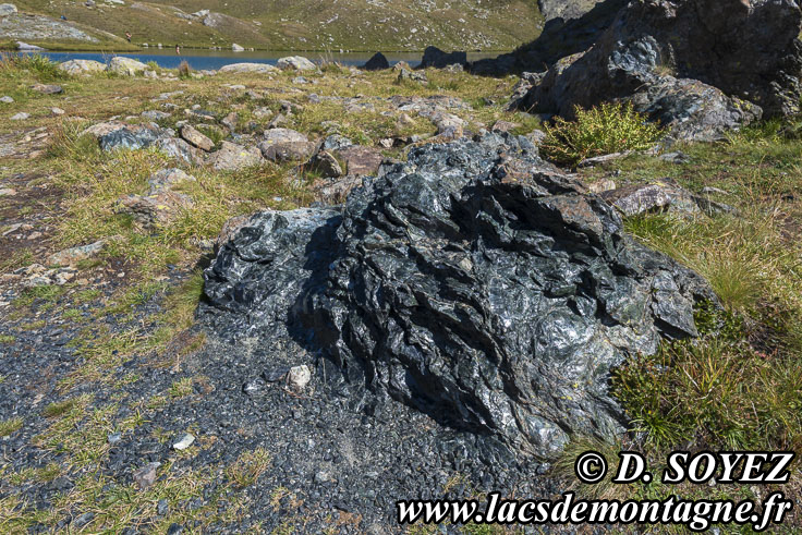 Photo n�202607054
Serpentinites, ITALIE (fronti�re ITALIE - Alpes-de-Haute-Provence - Queyras)
Clich� Dominique SOYEZ
Copyright Reproduction interdite sans autorisation
