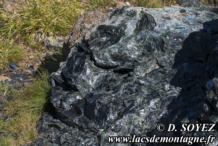 Photo n�202607055
Serpentinites, ITALIE (fronti�re ITALIE - Alpes-de-Haute-Provence - Queyras)
Clich� Dominique SOYEZ
Copyright Reproduction interdite sans autorisation