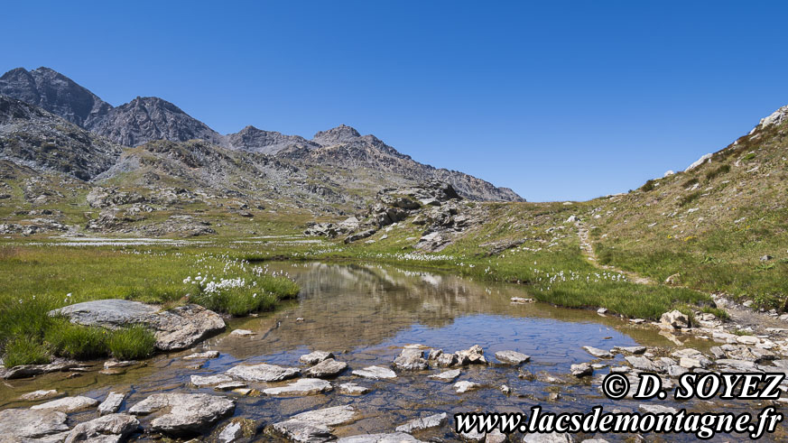 Photo n�202607024
Lac de Longet (2641m), (Haute Ubaye, Alpes de Haute Provence)
Clich� Dominique SOYEZ
Copyright Reproduction interdite sans autorisation