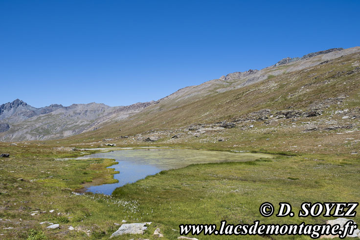 Photo n�202607026
Lac de Longet (2641m), (Haute Ubaye, Alpes de Haute Provence)
Clich� Dominique SOYEZ
Copyright Reproduction interdite sans autorisation