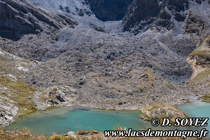 Photo n�202607050
Lac du Loup (2774m) (Haute Ubaye, Alpes-de-Haute-Provence)
Clich� Dominique SOYEZ
Copyright Reproduction interdite sans autorisation