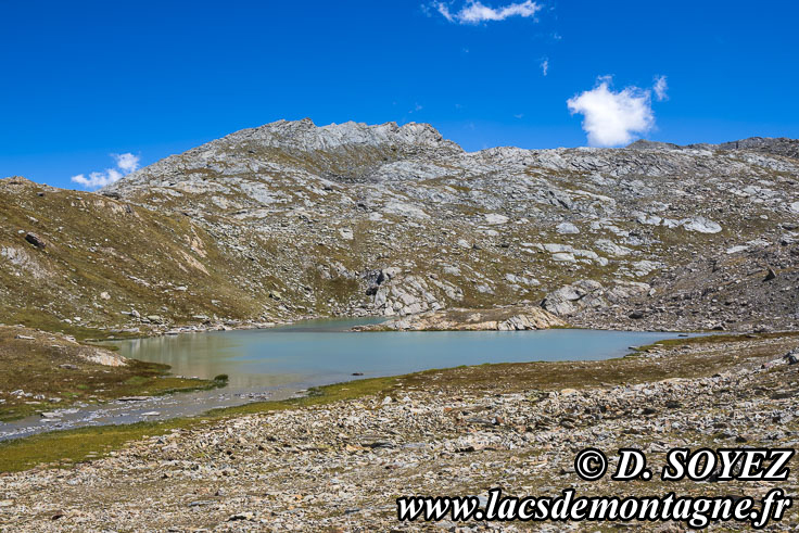 Photo n�202607051
Lac du Loup (2774m) (Haute Ubaye, Alpes-de-Haute-Provence)
Clich� Dominique SOYEZ
Copyright Reproduction interdite sans autorisation