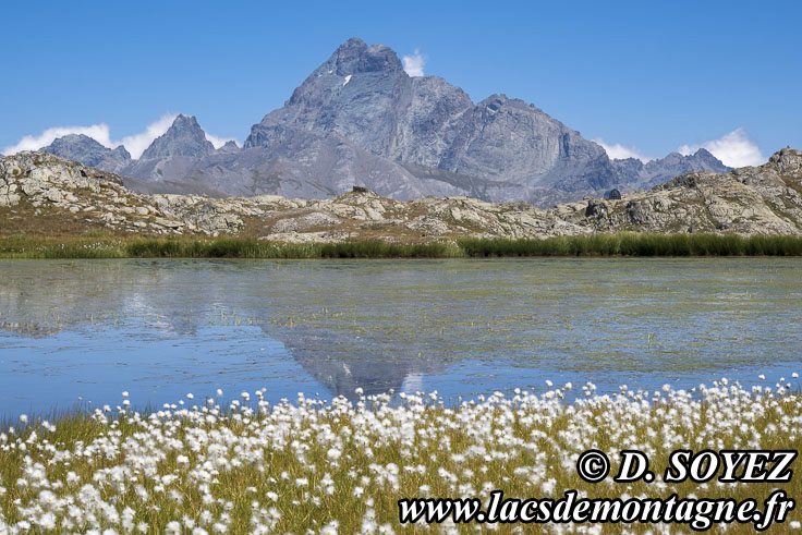 Photo n�202607035
Lac-tourbi�re du col de Longet (2649m) (Haute Ubaye, Alpes-de-Haute-Provence)
Clich� Dominique SOYEZ
Copyright Reproduction interdite sans autorisation