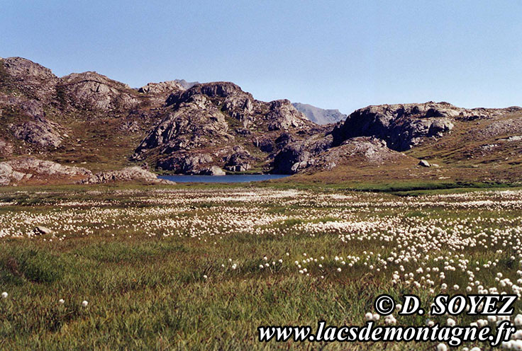 Photo n°20030722
Lacs du col de Longet (2655m) (Haute Ubaye, Alpes de Haute Provence)
Cliché Dominique SOYEZ
Copyright Reproduction interdite sans autorisation