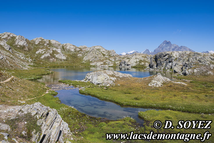 Photo n�202607038
Lacs du col de Longet ou laghi Bes
(2635 m, 2648 m et 2649 m)
(Haute Ubaye, Alpes-de-Haute-Provence)
Clich� Dominique SOYEZ
Copyright Reproduction interdite sans autorisation