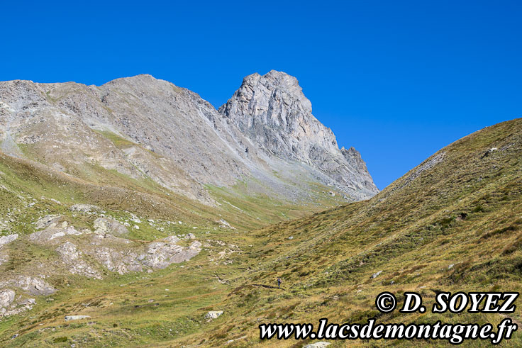 Photo n�202607015
T�te des Toillies (3088m) (fronti�re ITALIE - Queyras)
Clich� Dominique SOYEZ
Copyright Reproduction interdite sans autorisation