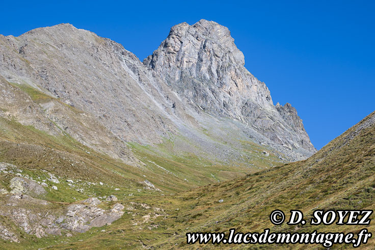 Photo n�202607016
T�te des Toillies (3088m) (fronti�re ITALIE - Queyras)
Clich� Dominique SOYEZ
Copyright Reproduction interdite sans autorisation