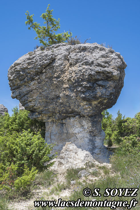 Photo n�202605014
Les rochers des Mourres (Luberon, Forcalquier, Alpes-de-Haute-Provence)
Clich� Serge SOYEZ
Copyright Reproduction interdite sans autorisation