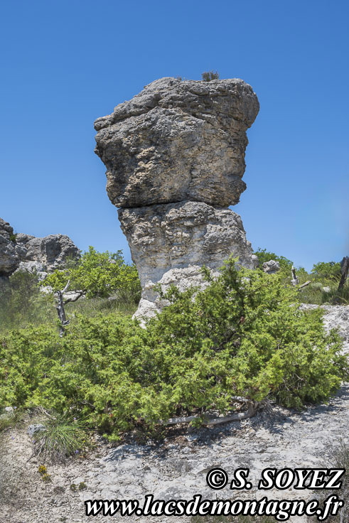 Photo n�202605018
Les rochers des Mourres (Luberon, Forcalquier, Alpes-de-Haute-Provence)
Clich� Serge SOYEZ
Copyright Reproduction interdite sans autorisation
