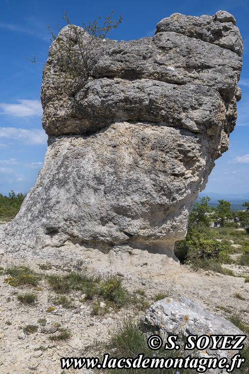 Photo n�202605035
Les rochers des Mourres (Luberon, Forcalquier, Alpes-de-Haute-Provence)
Clich� Serge SOYEZ
Copyright Reproduction interdite sans autorisation