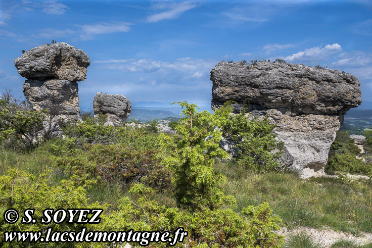 Photo n�202605036
Les rochers des Mourres (Luberon, Forcalquier, Alpes-de-Haute-Provence)
Clich� Serge SOYEZ
Copyright Reproduction interdite sans autorisation