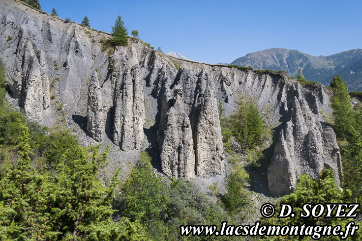 Photo n�202607001
Les demoiselles d�coiff�es du ravin des Murati�res
Saint-Paul-sur-Ubaye
Alpes-de-Haute-Provence
Clich� Dominique SOYEZ
Copyright Reproduction interdite sans autorisation