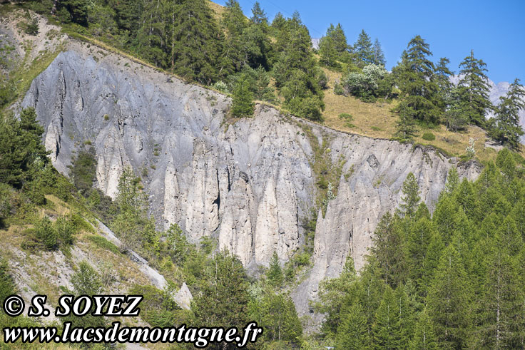 Photo n�202607004
Les demoiselles d�coiff�es du ravin des Murati�res
Saint-Paul-sur-Ubaye
Alpes-de-Haute-Provence
Clich� Serge SOYEZ
Copyright Reproduction interdite sans autorisation