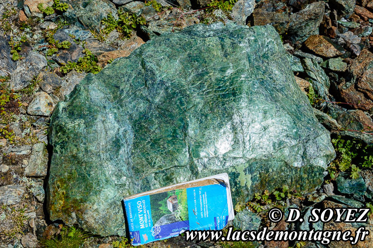 Photo n201707032
Serpentinite
Clich Dominique SOYEZ
Copyright Reproduction interdite sans autorisation