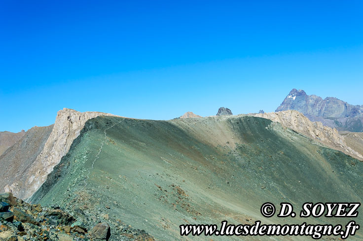 Photo n201507039
Le col Sud du Cristillan: le fond de l'ocan  3000m d'altitude!
Clich Dominique SOYEZ
Copyright Reproduction interdite sans autorisation